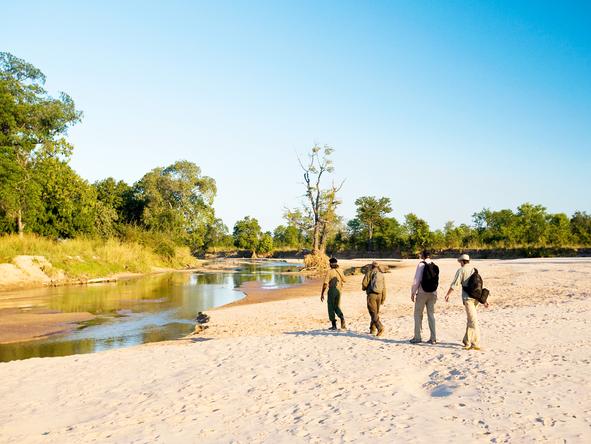 Nsolo Bush Camp - walking safaris